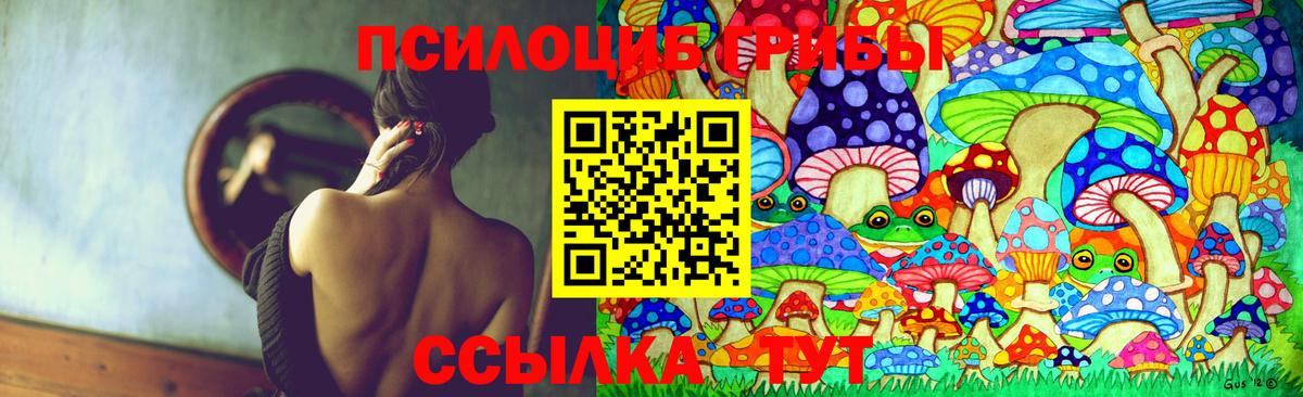 Псилоцибиновые грибы мухоморы  Вход с VPN  Псилоцибиновые грибы прущие грибы  наркошоп  Менделеевск 